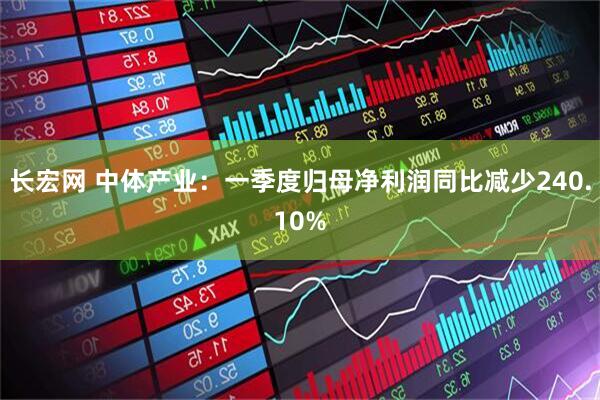 长宏网 中体产业：一季度归母净利润同比减少240.10%