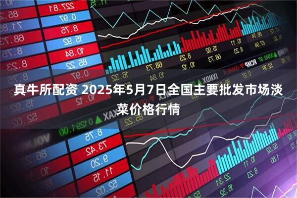 真牛所配资 2025年5月7日全国主要批发市场淡菜价格行情