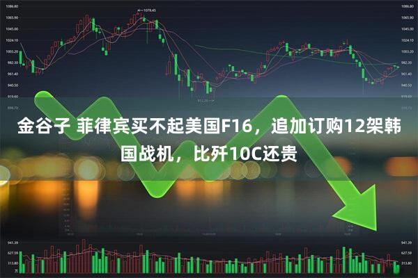 金谷子 菲律宾买不起美国F16，追加订购12架韩国战机，比歼10C还贵