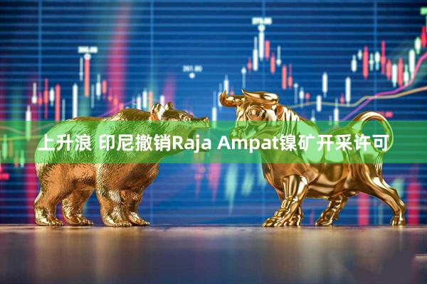 上升浪 印尼撤销Raja Ampat镍矿开采许可