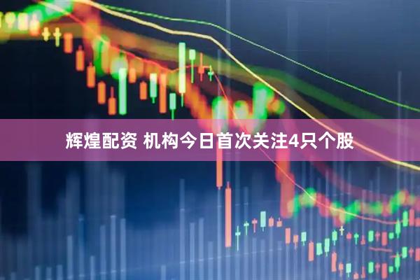 辉煌配资 机构今日首次关注4只个股