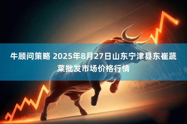 牛顾问策略 2025年8月27日山东宁津县东崔蔬菜批发市场价格行情