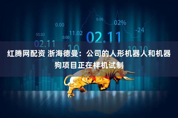 红腾网配资 浙海德曼：公司的人形机器人和机器狗项目正在样机试制
