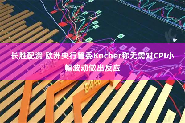 长胜配资 欧洲央行管委Kocher称无需对CPI小幅波动做出反应
