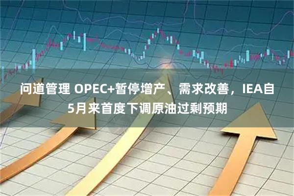 问道管理 OPEC+暂停增产、需求改善，IEA自5月来首度下调原油过剩预期
