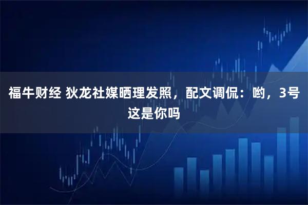 福牛财经 狄龙社媒晒理发照，配文调侃：哟，3号这是你吗
