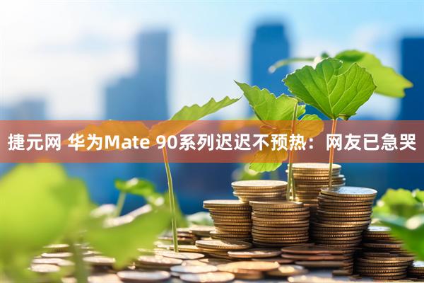 捷元网 华为Mate 90系列迟迟不预热：网友已急哭